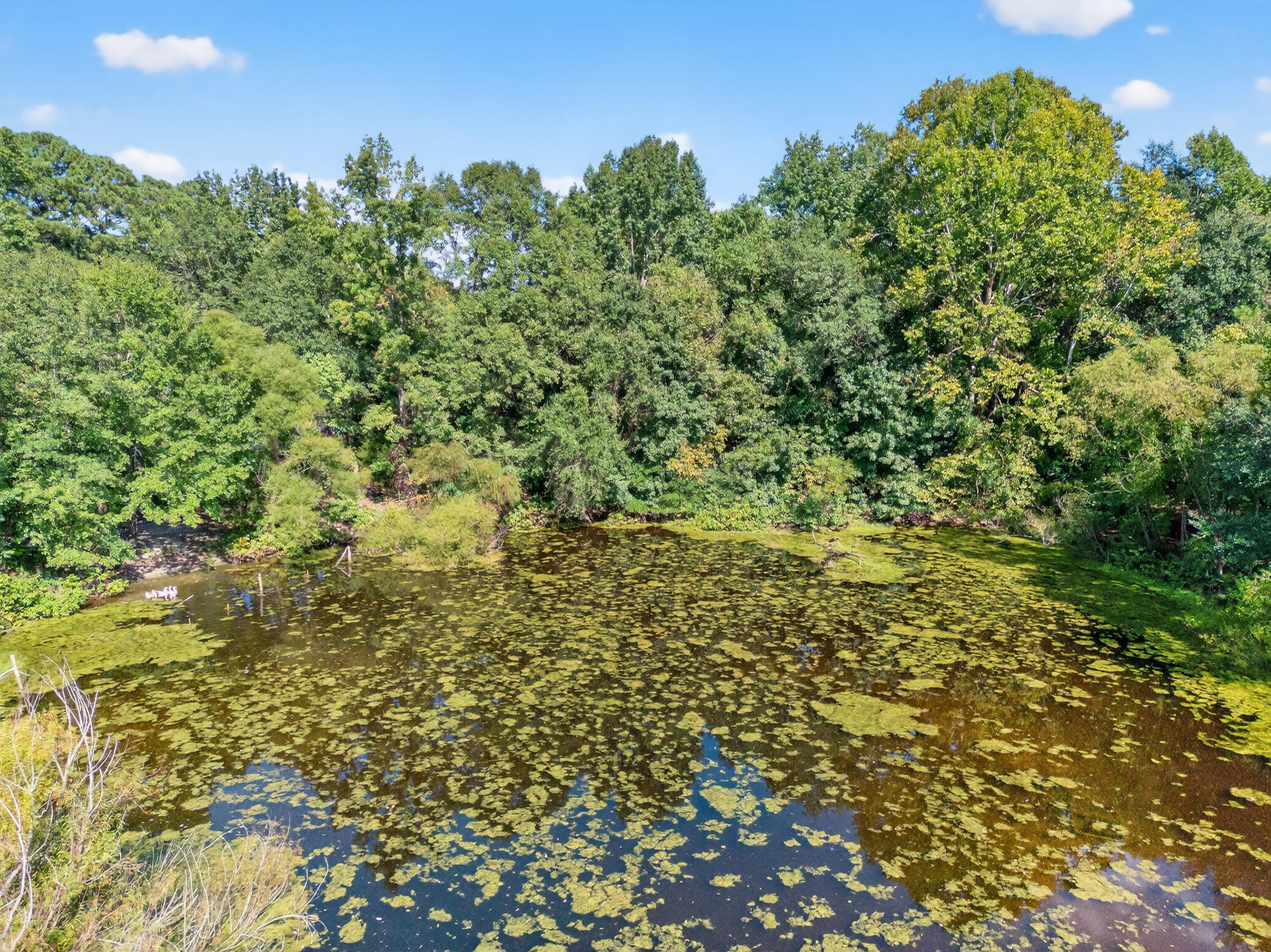 051_DJI_20250901161514_0008_D
