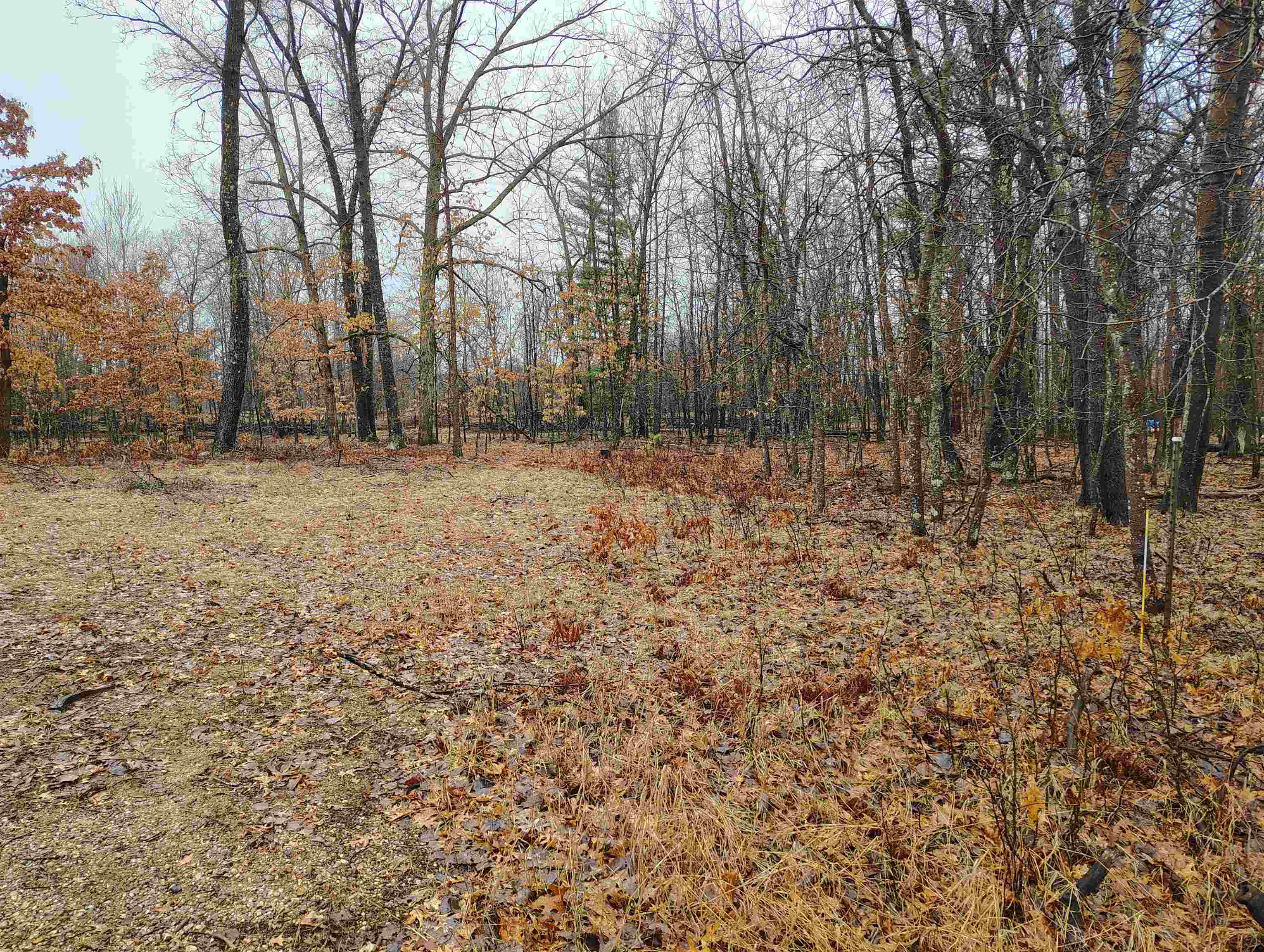 0 Maple Road, Unit LOT: 88 LOT: 88 Gladwin, MI 48624 - Photo 7 of 15