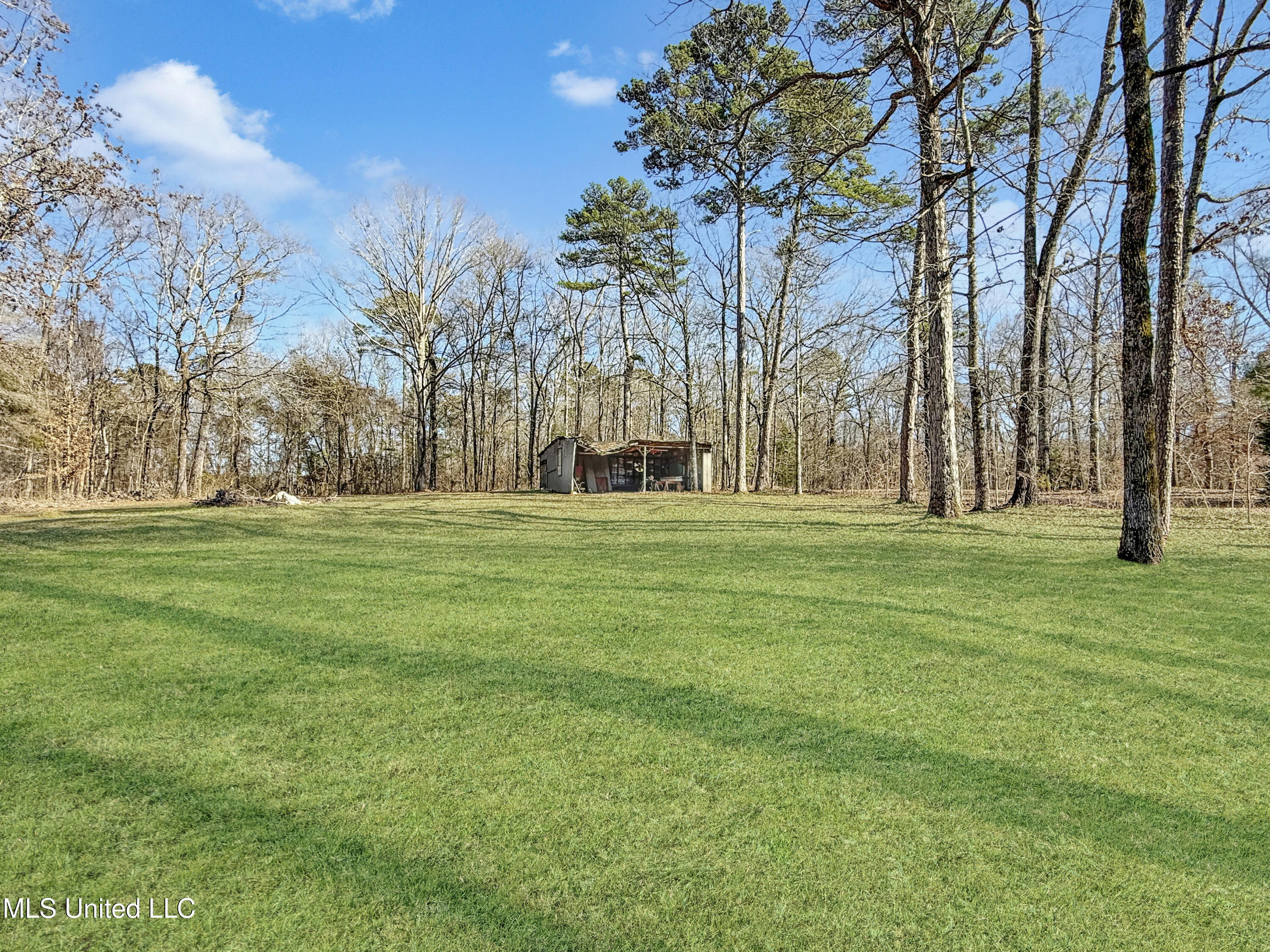 1699 White Road Florence, MS 39073 - Photo 17 of 17 f0b3be73e0f632e01fc0d12747a9fc08e8ccde77
