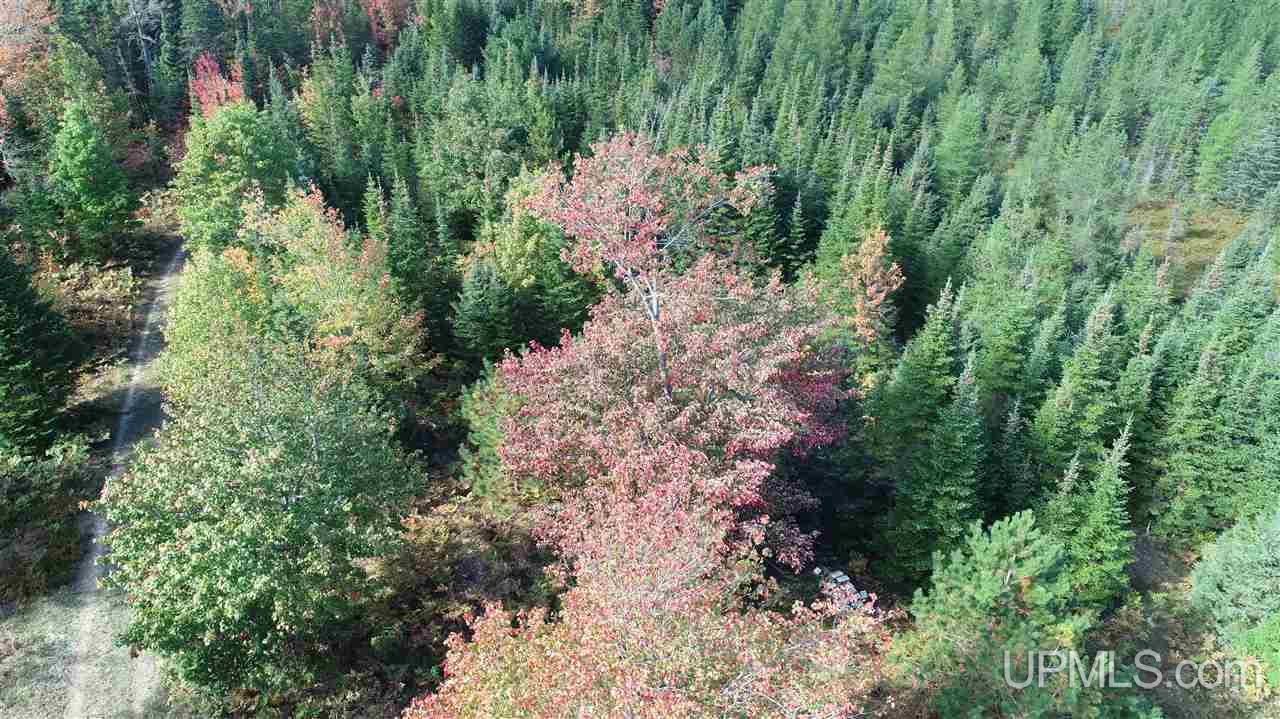1480 Acres On Co Road Manistique, MI 49854 - Photo 41 of 49
