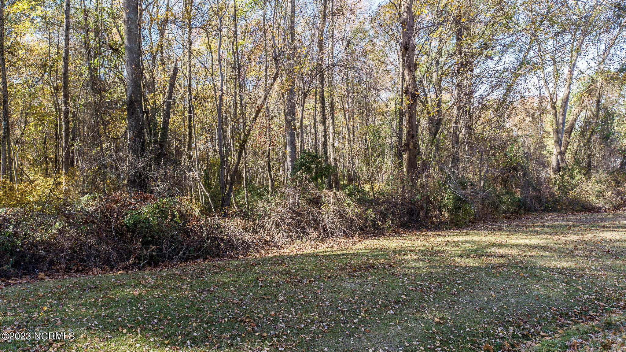 6033 Homestead Road Elm City, NC 27822 - Photo 18 of 20 6033-Roadside