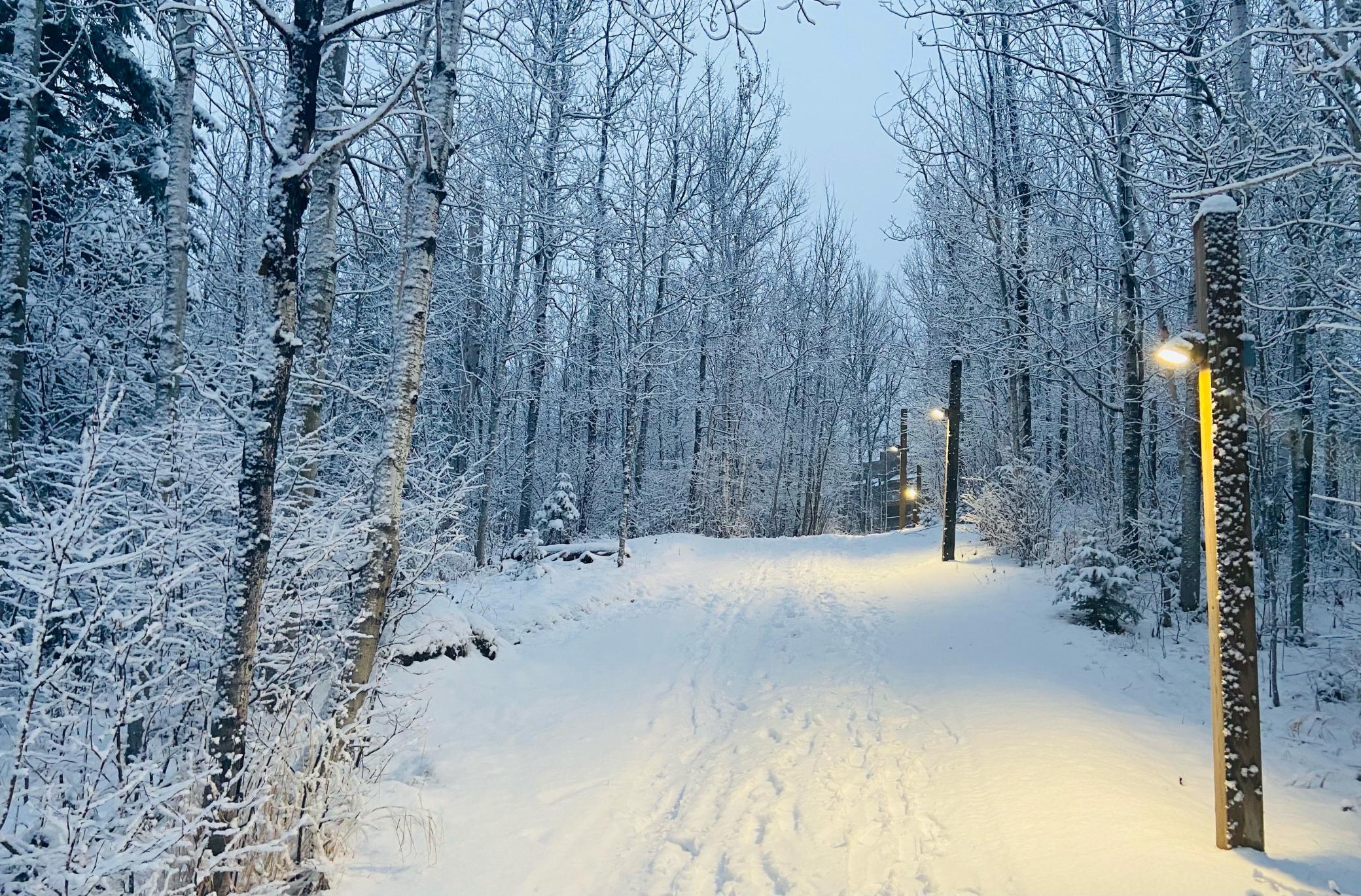 128 Bridge Run Lane, Unit B Lutsen, MN 55612 - Photo 29 of 35