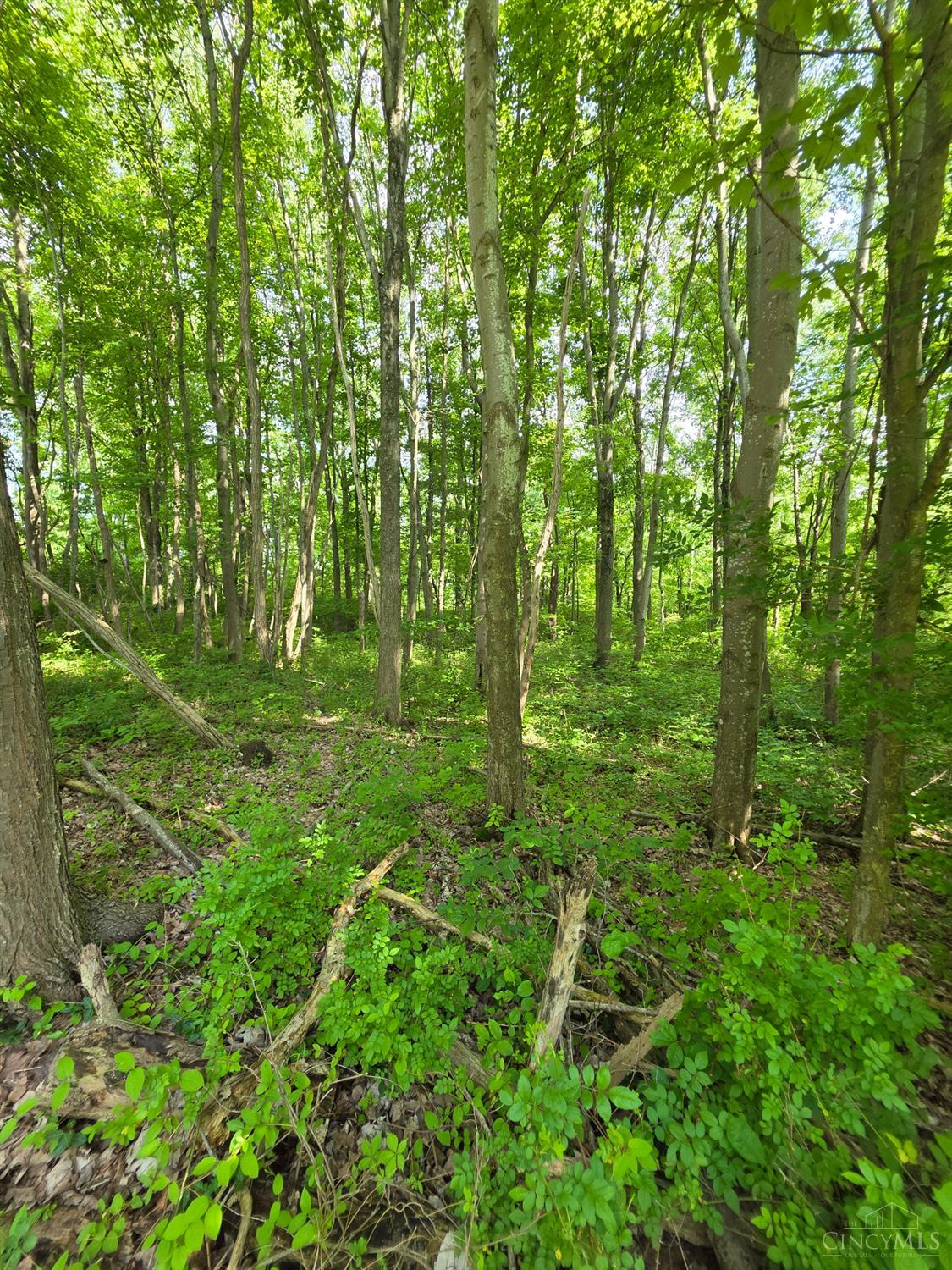 0 Fagins Run Road New Richmond, OH 45157 - Photo 9 of 28