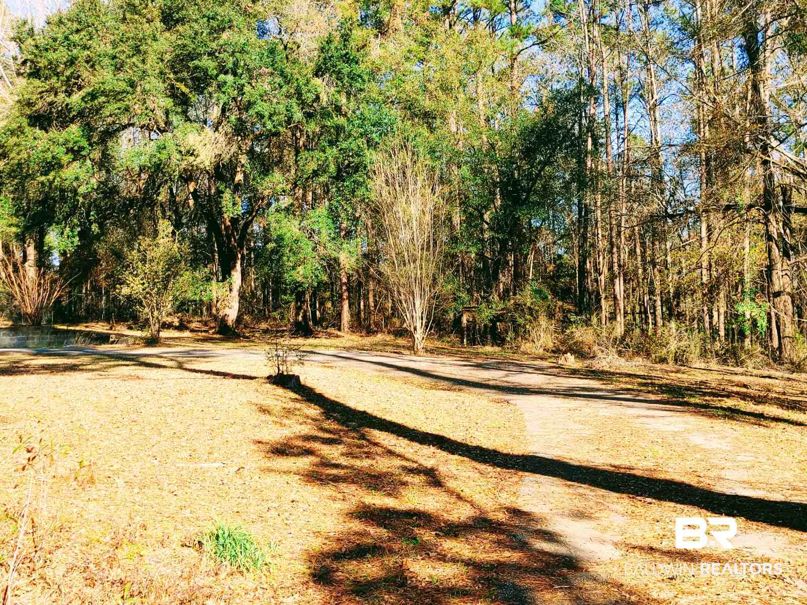 5771 Walker Springs Road Jackson, AL 36545 - Photo 44 of 46