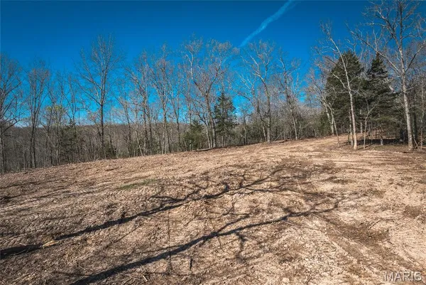 $198,042 | -lot H Lot H Armadillo Lane, Leslie, MO 63056
