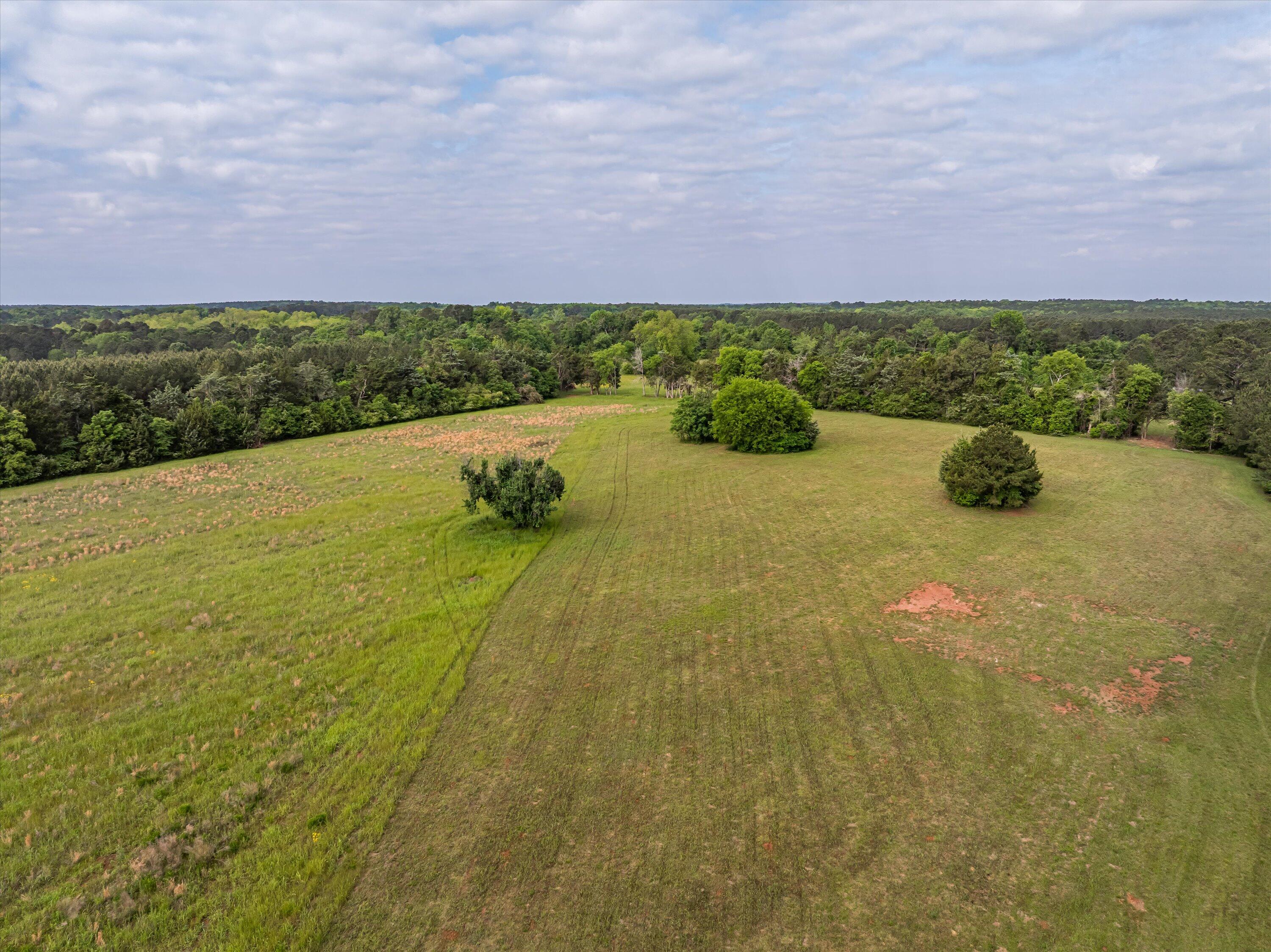 5740 Cobbham Road Appling, GA 30802 - Photo 13 of 29 43-Lot 1_19
