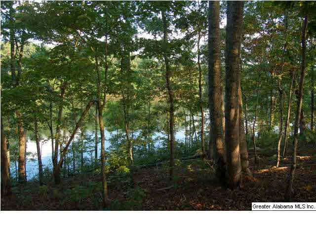 Lot 17 Sunset Ridge, Unit 17 Wedowee, AL 36278 - Photo 2 of 5
