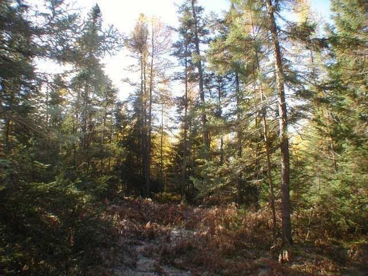 On Fire Lane Road Conover, WI 54519 - Photo 6 of 13 Gallery Image 6