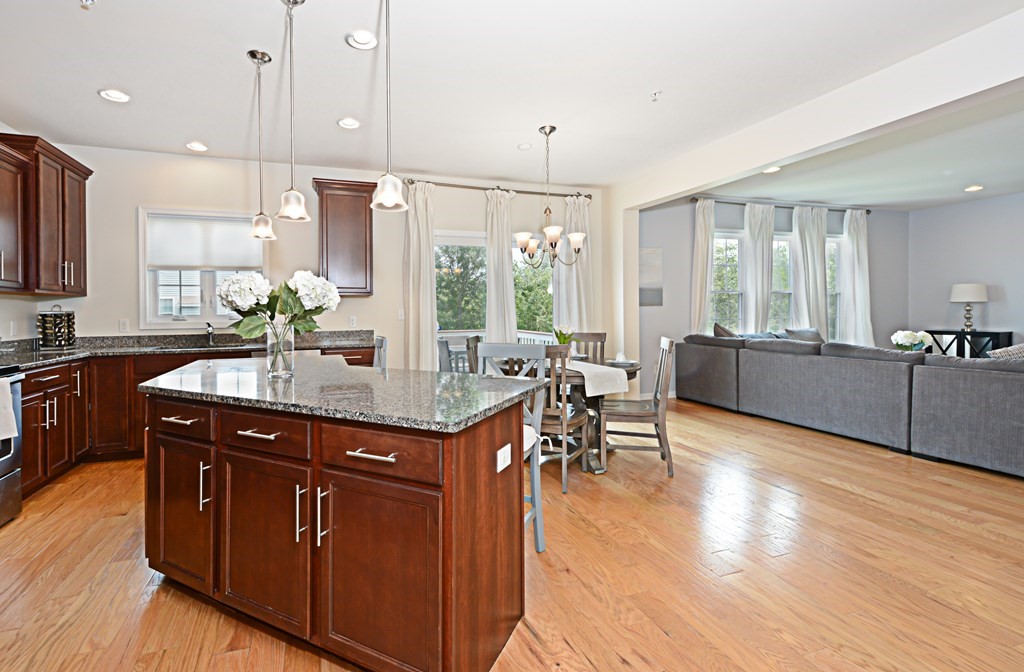3 Teaberry Lane Hopkinton, MA 01748 - Photo 15 of 29