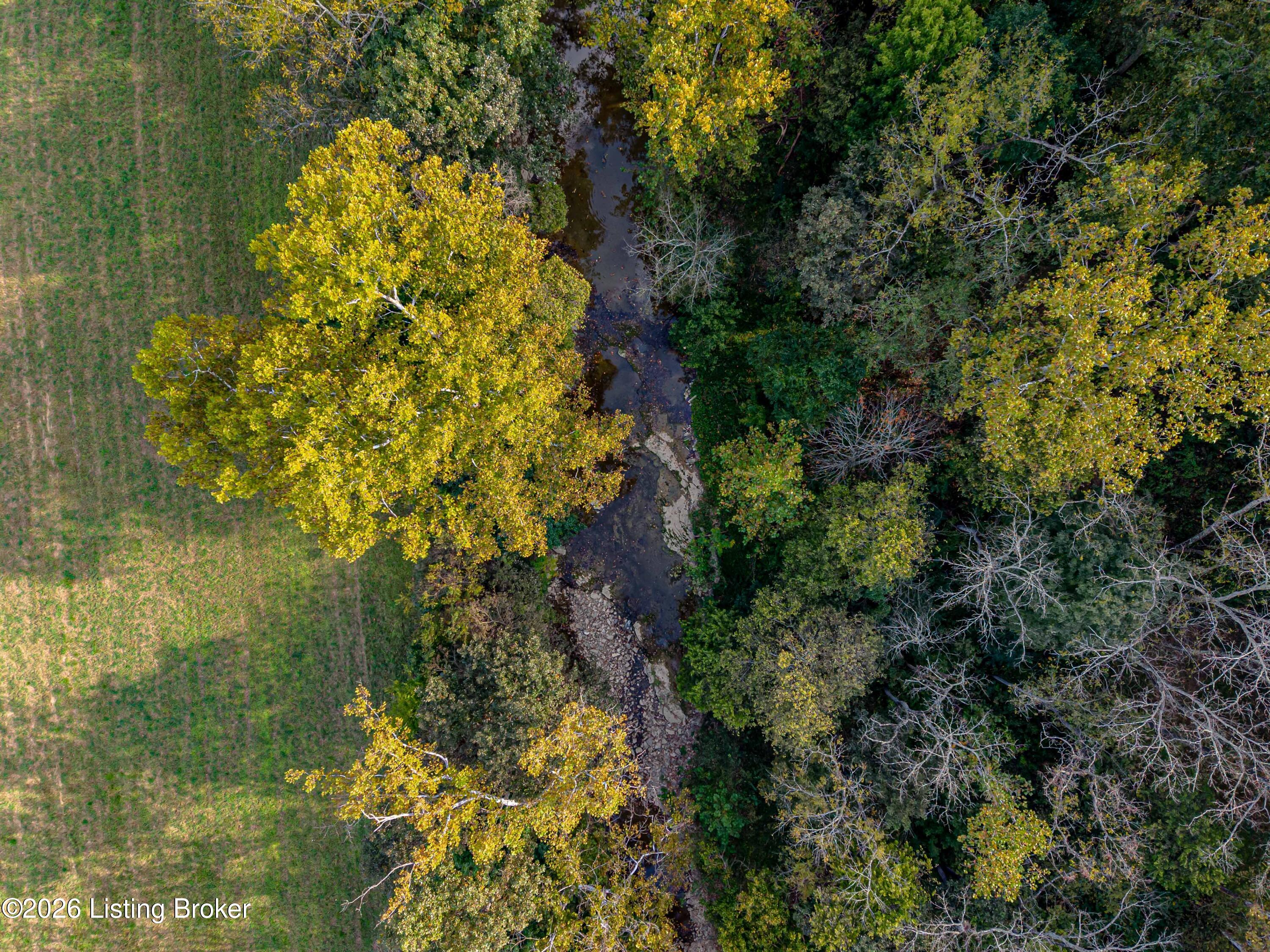 7316 Sulphur Road Sulphur, KY 40070 - Photo 54 of 62 DJI_20261002050433_0171_D