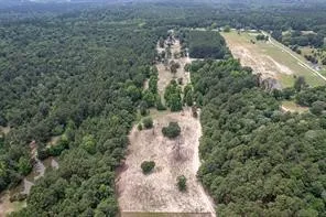 a view of a pathway with a yard