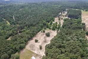 a view of a yard with plants and a tree