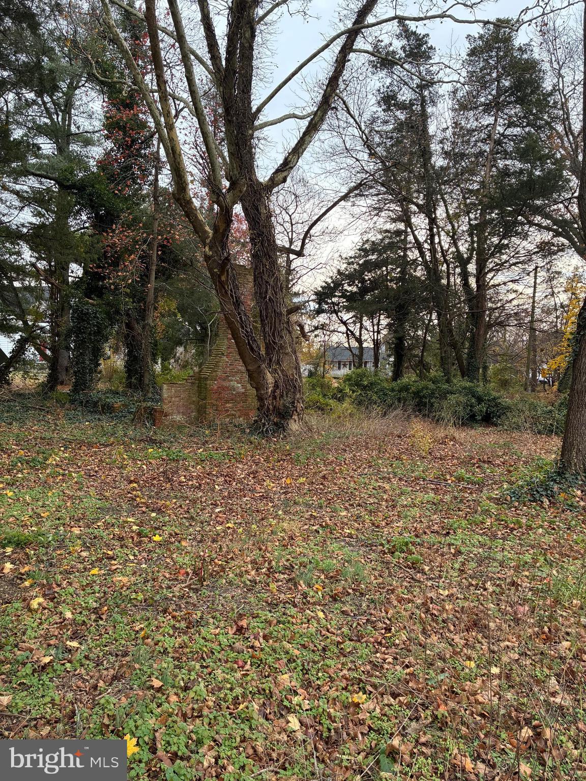 3485 Harding Highway Malaga, NJ 08328 - Photo 2 of 6