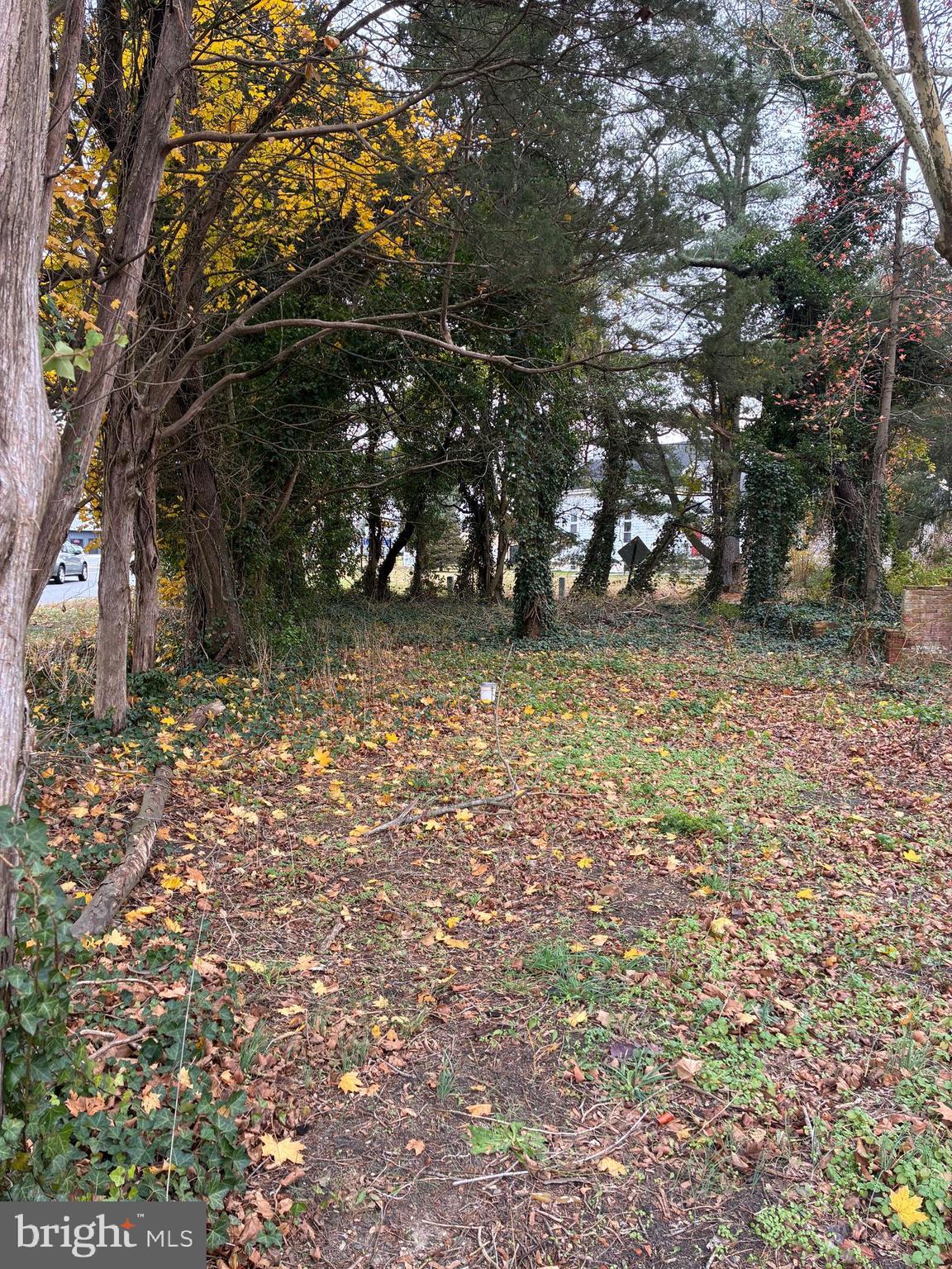 3485 Harding Highway Malaga, NJ 08328 - Photo 3 of 6 a backyard of a house with lots of green space