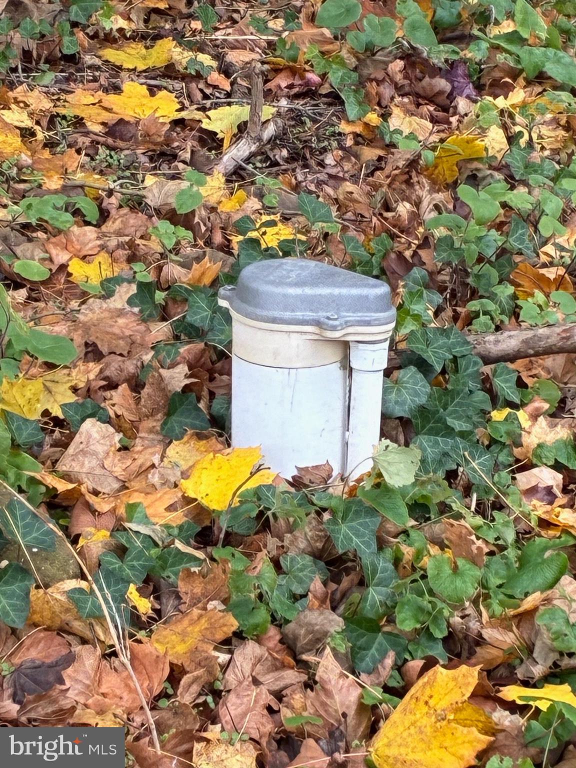 3485 Harding Highway Malaga, NJ 08328 - Photo 4 of 6 a view of a fireplace with a tree