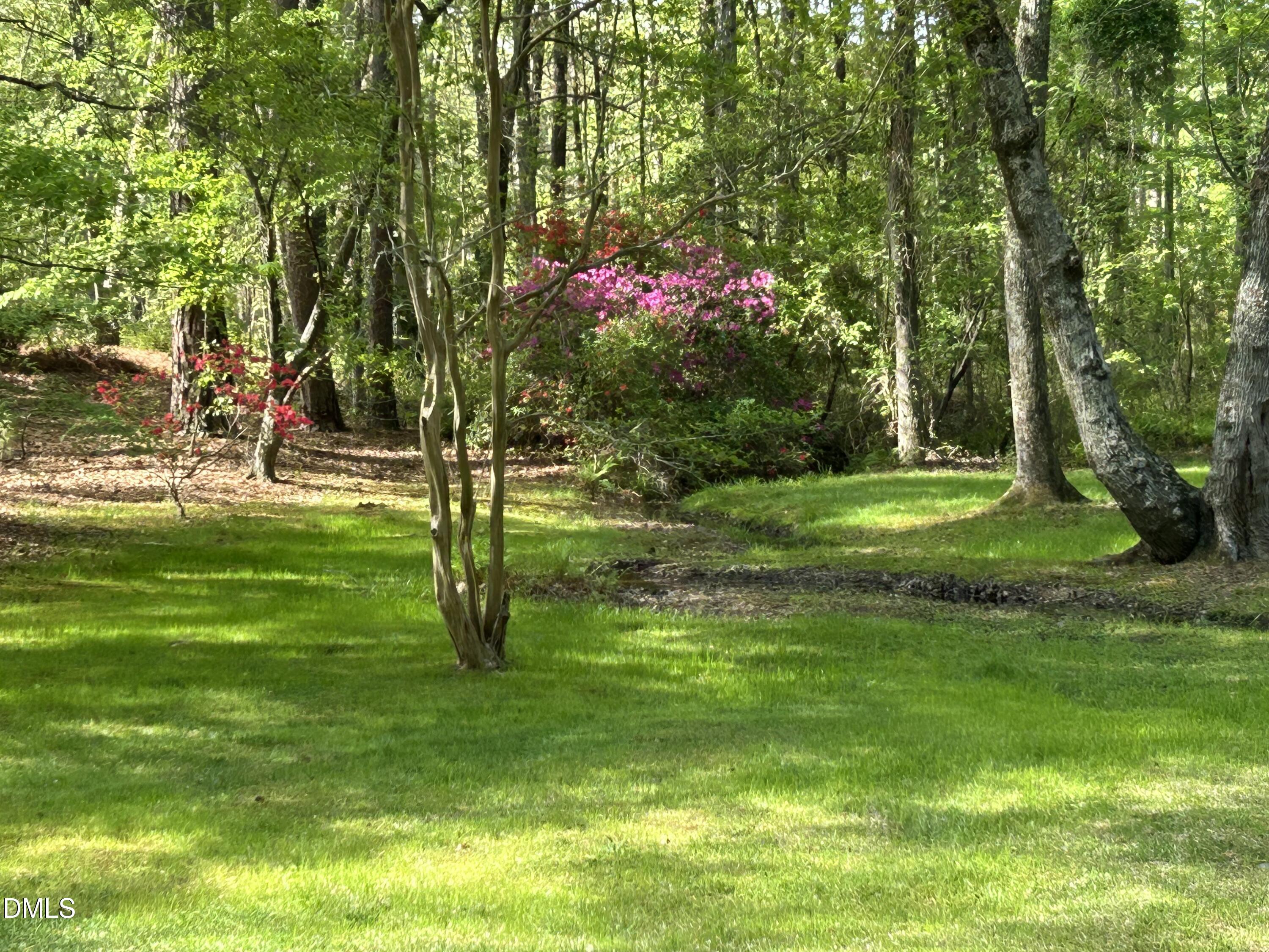 4008 Blackard Pond Road Raleigh, NC 27604 - Photo 52 of 60 IMG_2341