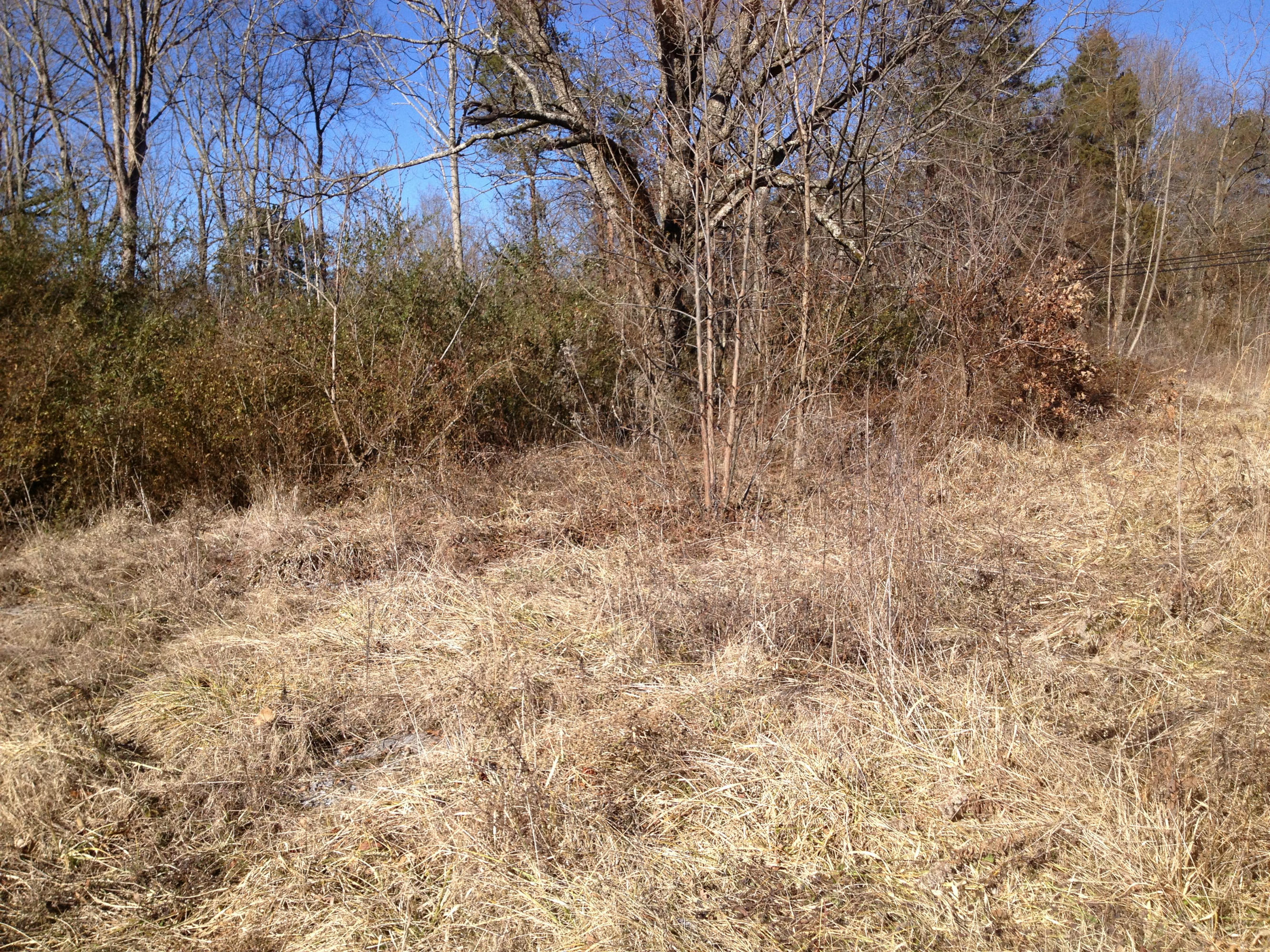 Blowing Cave Road Sevierville, TN 37876 - Photo 11 of 11 cp01212014 055