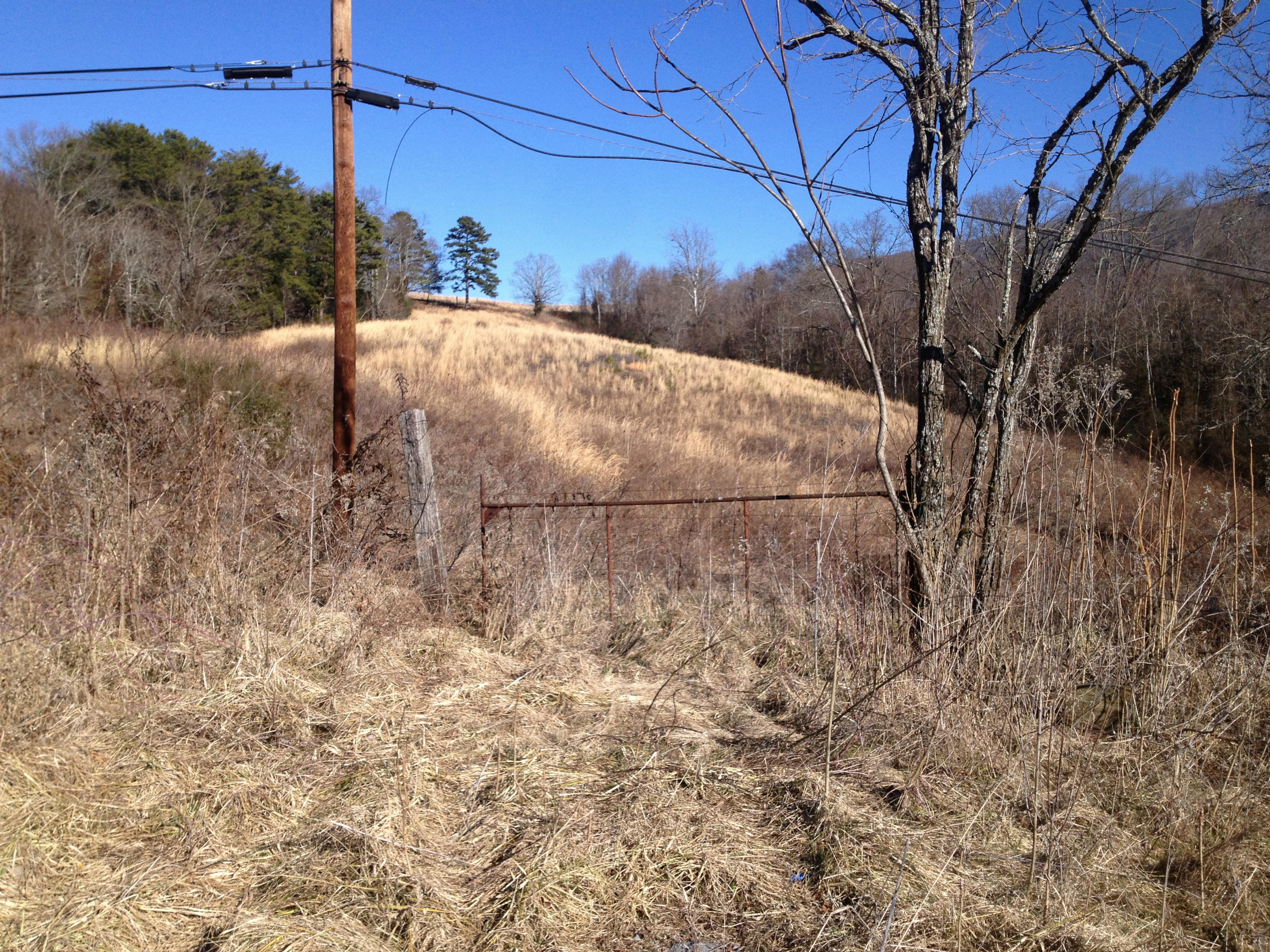 Blowing Cave Road Sevierville, TN 37876 - Photo 3 of 11 cp01212014 049