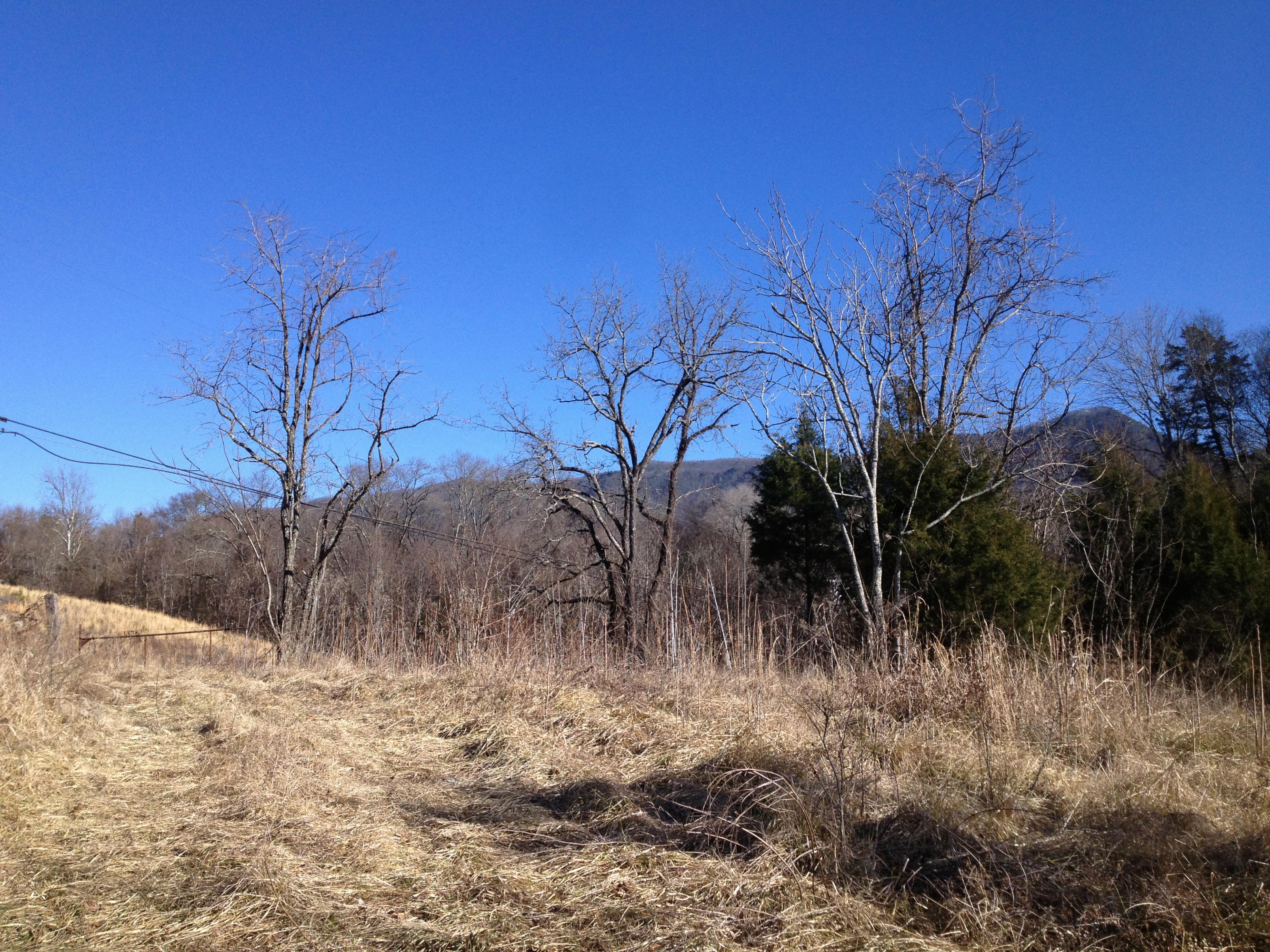 Blowing Cave Road Sevierville, TN 37876 - Photo 4 of 11 cp01212014 047