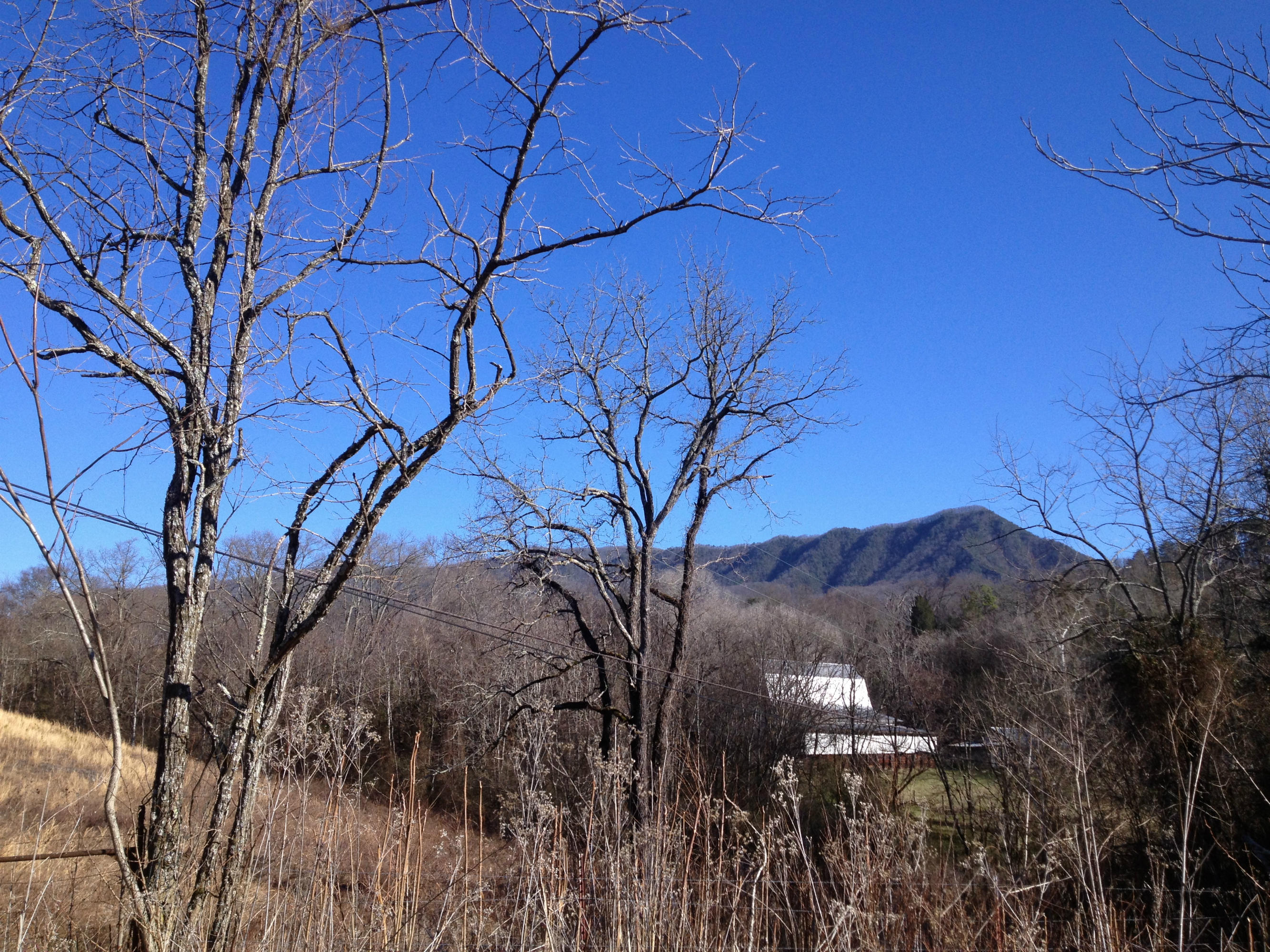 Blowing Cave Road Sevierville, TN 37876 - Photo 5 of 11 cp01212014 050