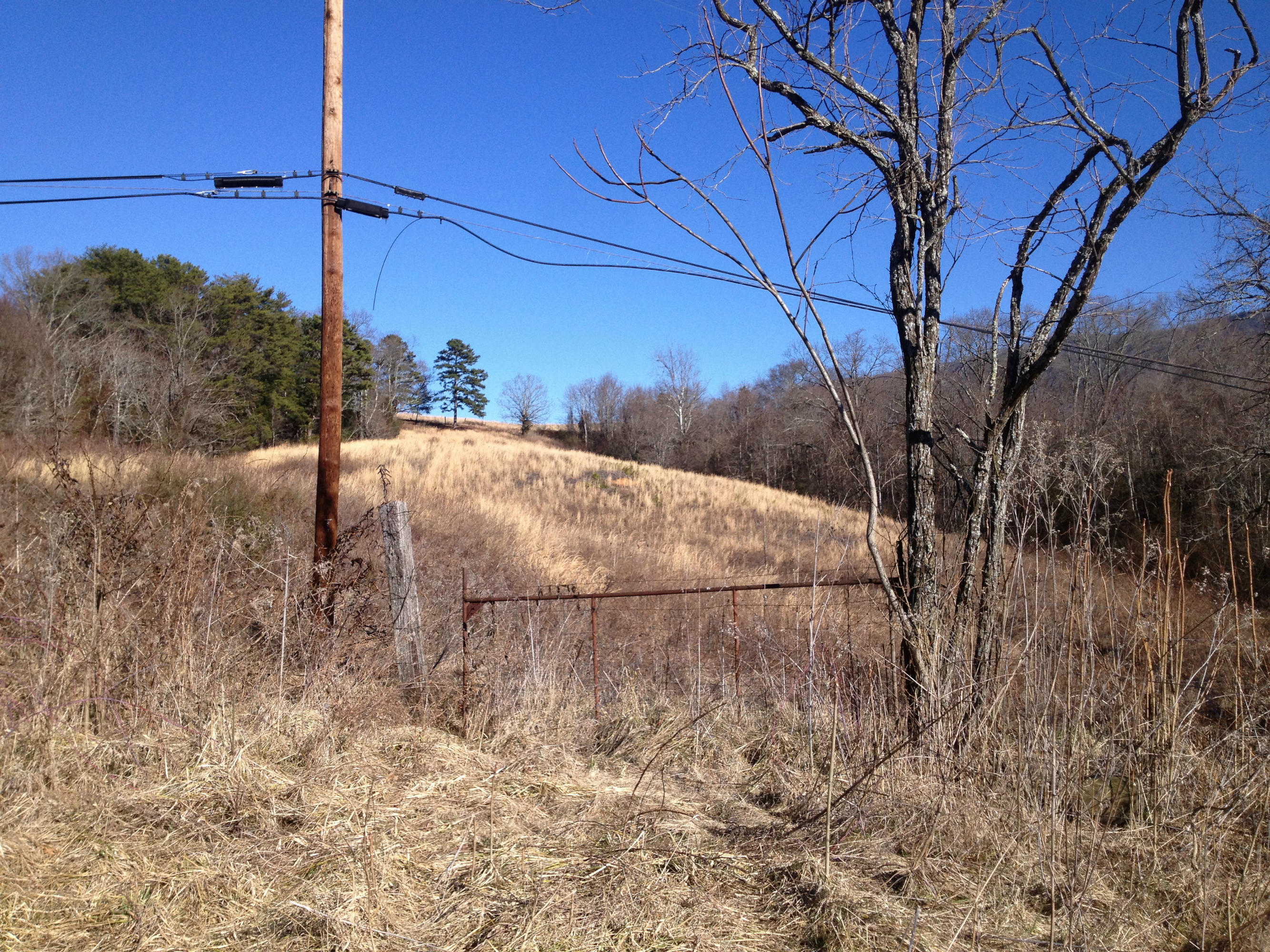Blowing Cave Road Sevierville, TN 37876 - Photo 6 of 11 cp01212014 048