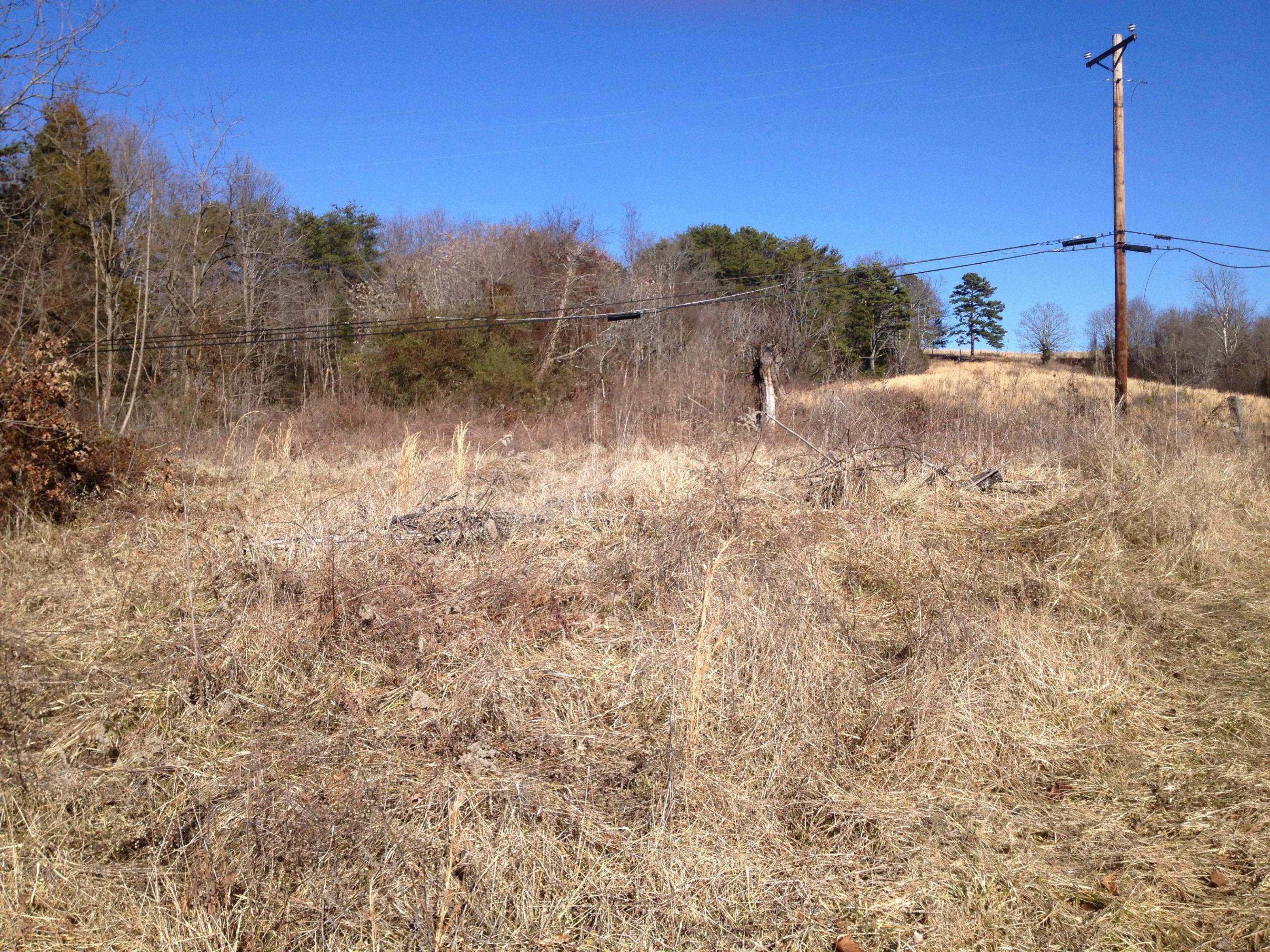 Blowing Cave Road Sevierville, TN 37876 - Photo 7 of 11 cp01212014 054