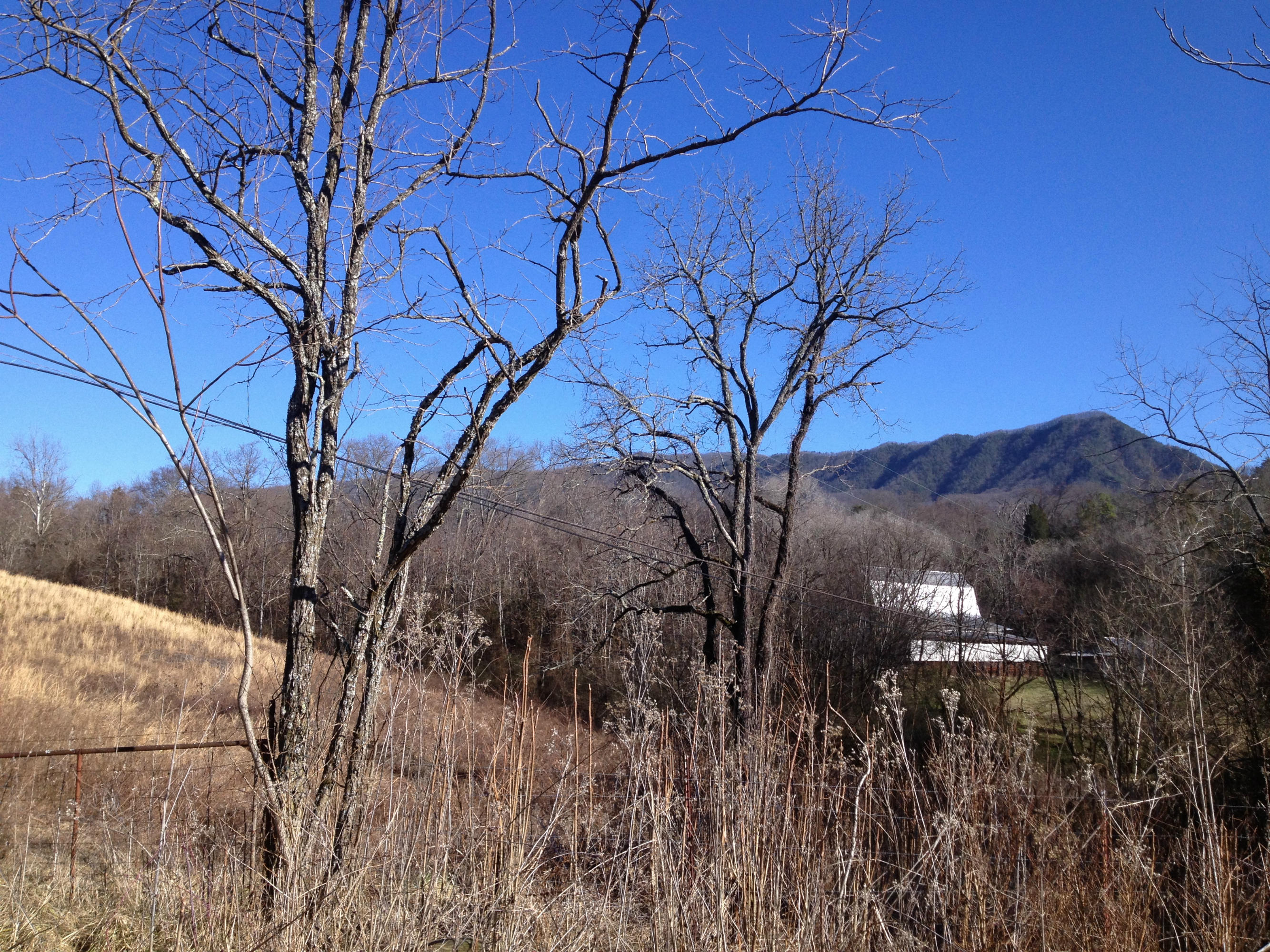 Blowing Cave Road Sevierville, TN 37876 - Photo 8 of 11 cp01212014 051