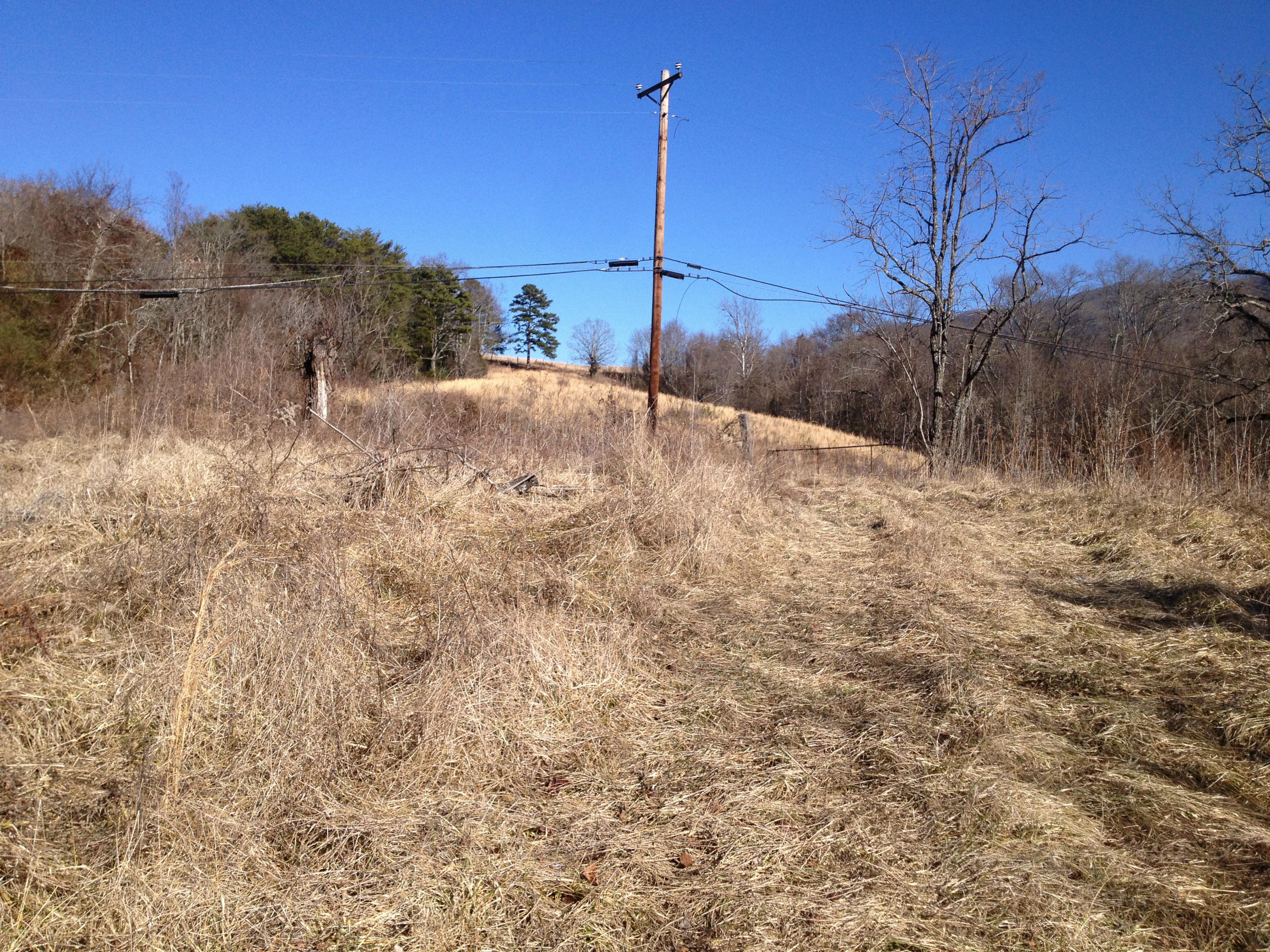 Blowing Cave Road Sevierville, TN 37876 - Photo 9 of 11 cp01212014 052