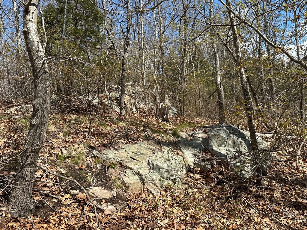 27 Old Pine Island Road Newbury, MA 01951 - Photo 4 of 9