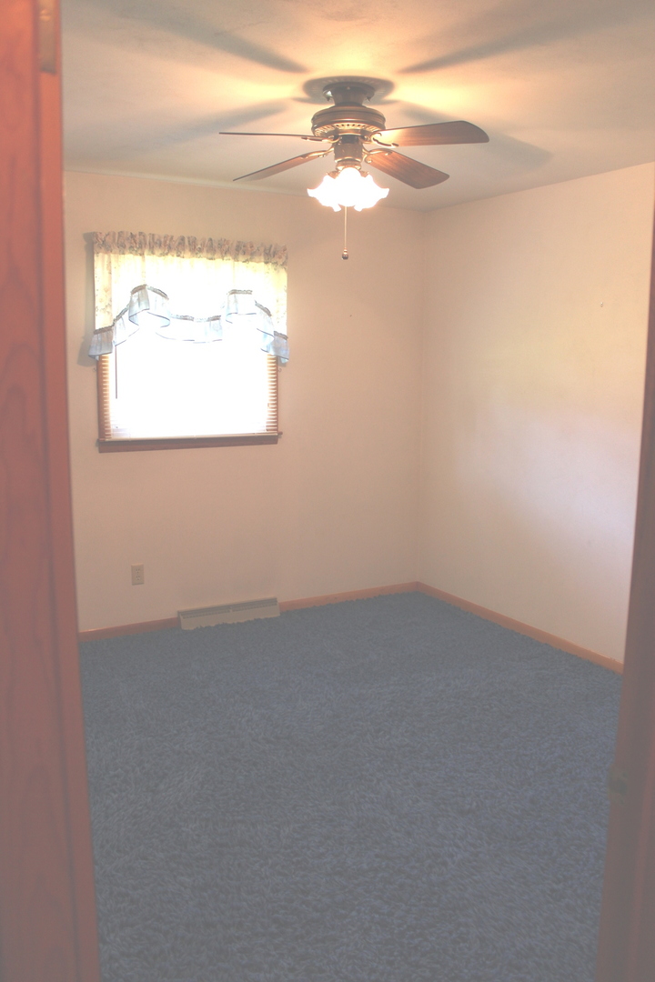509 High Street Alma, IL 62807 - Photo 24 of 32 Gallery Image 24