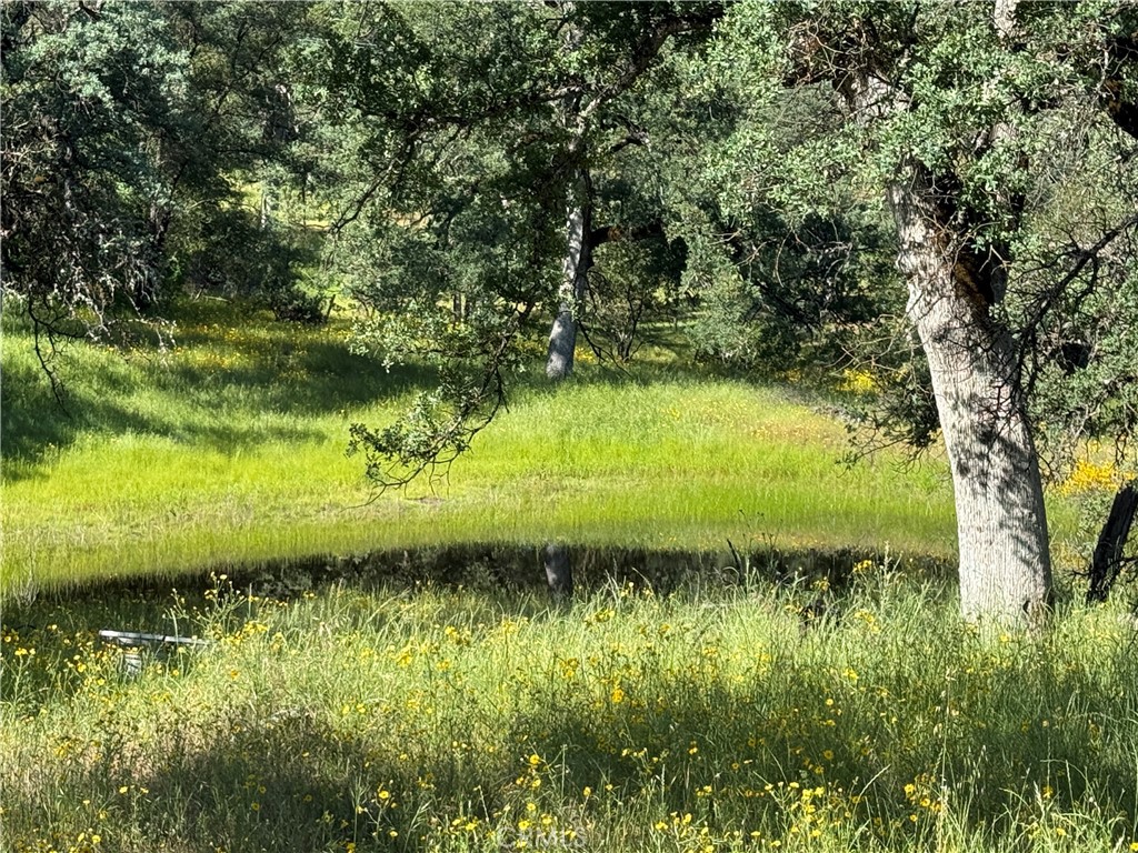 4952 Hidden Springs Road Mariposa, CA 95338 - Photo 60 of 63
