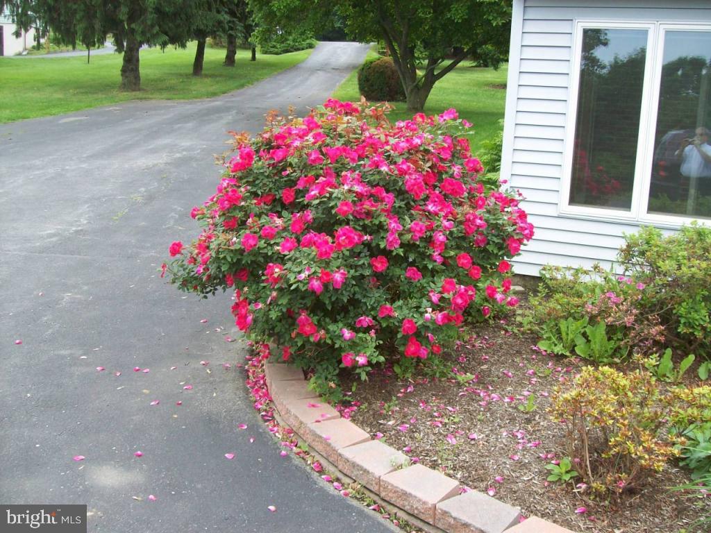 795 Prospect Road Columbia, PA 17512 - Photo 20 of 20 Gallery Image 20