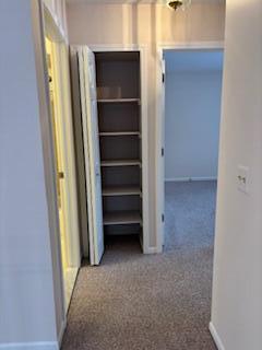 468 Farmridge Court Rochester, MI 48307 - Photo 21 of 48 Linencloset