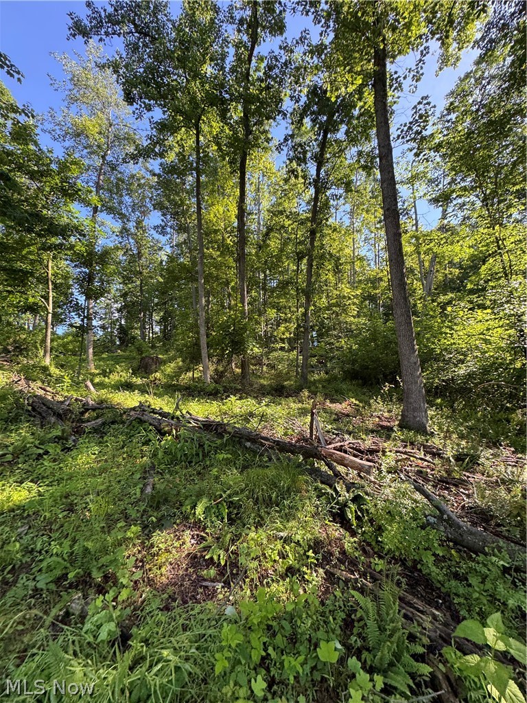 Stone Quarry Road Danville, OH 43014 - Photo 40 of 50