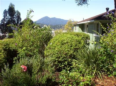 95 Brodea Way San Rafael, CA 94901 - Photo 4 of 6 Gallery Image 4