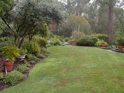 95 Brodea Way San Rafael, CA 94901 - Photo 5 of 6 Gallery Image 5