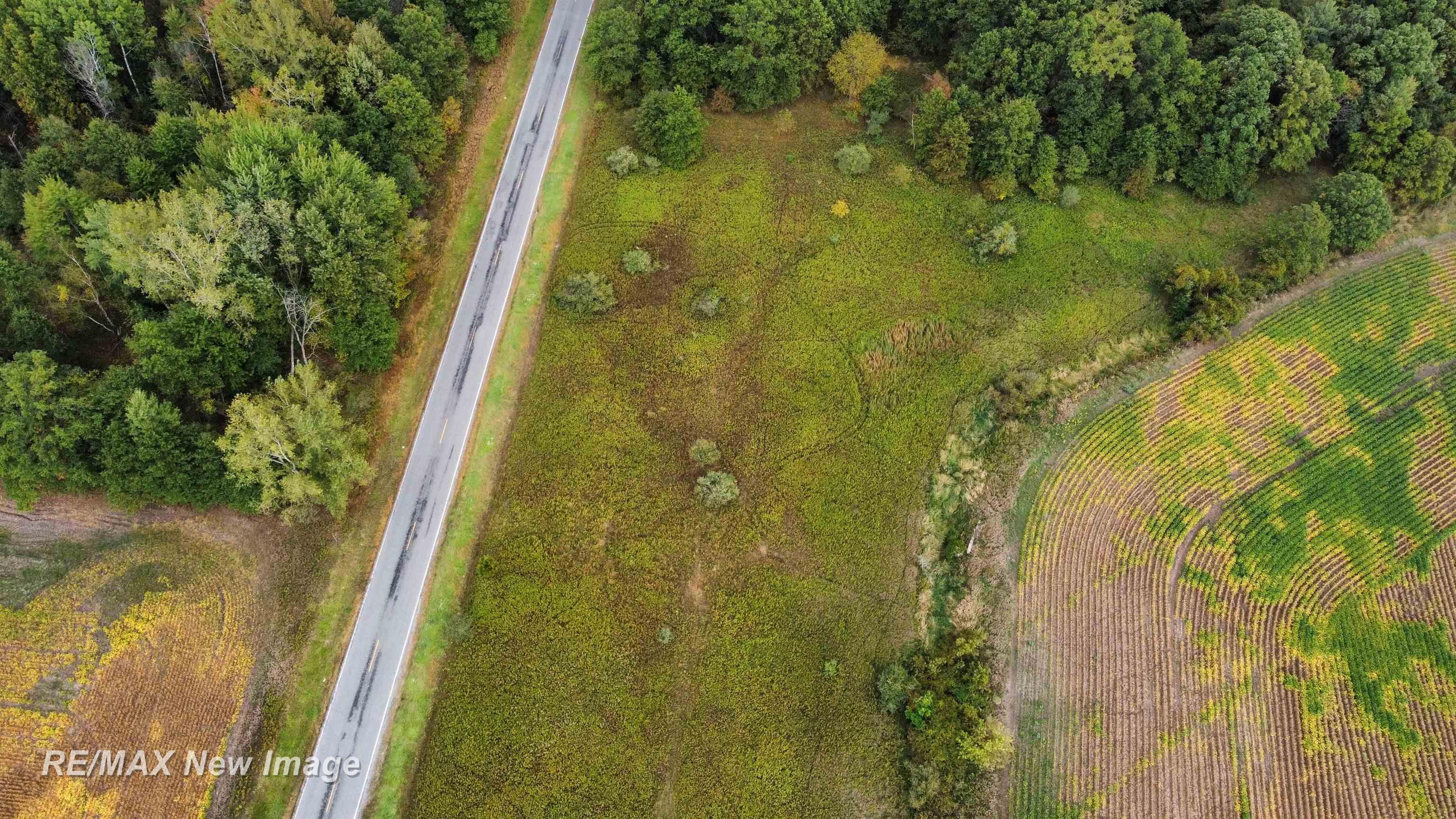 Ithaca Road St. Charles, MI 48655 - Photo 9 of 21