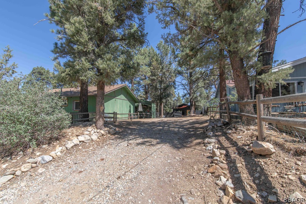 186 Riverside Avenue Sugarloaf, CA 92386 - Photo 30 of 34 a view of a yard with a tree
