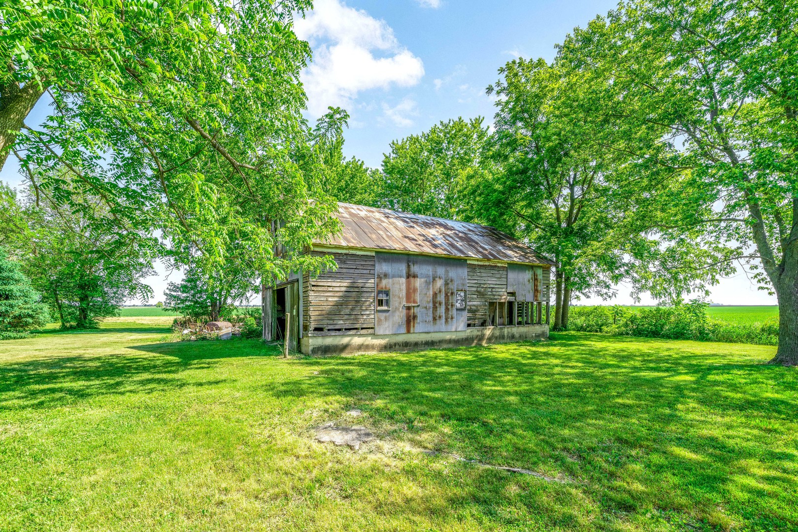 3700 Kane Road Leland, IL 60531 - Photo 18 of 30 a view of a house with a big yard and large trees