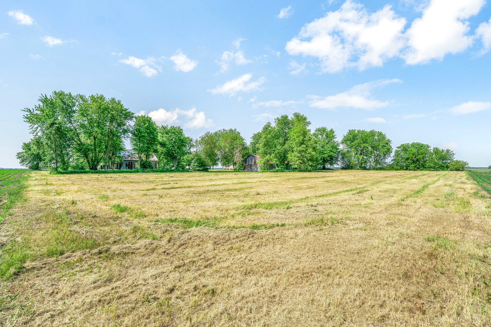 3700 Kane Road Leland, IL 60531 - Photo 19 of 30 a view of a yard with an outdoor space