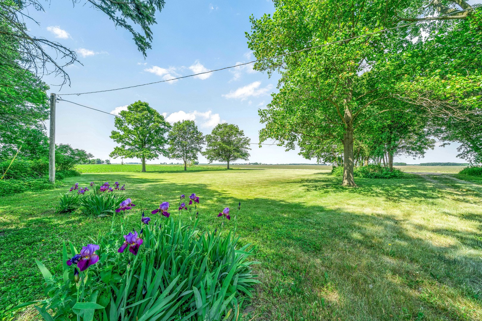 3700 Kane Road Leland, IL 60531 - Photo 25 of 30 a view of a garden with plants and large trees