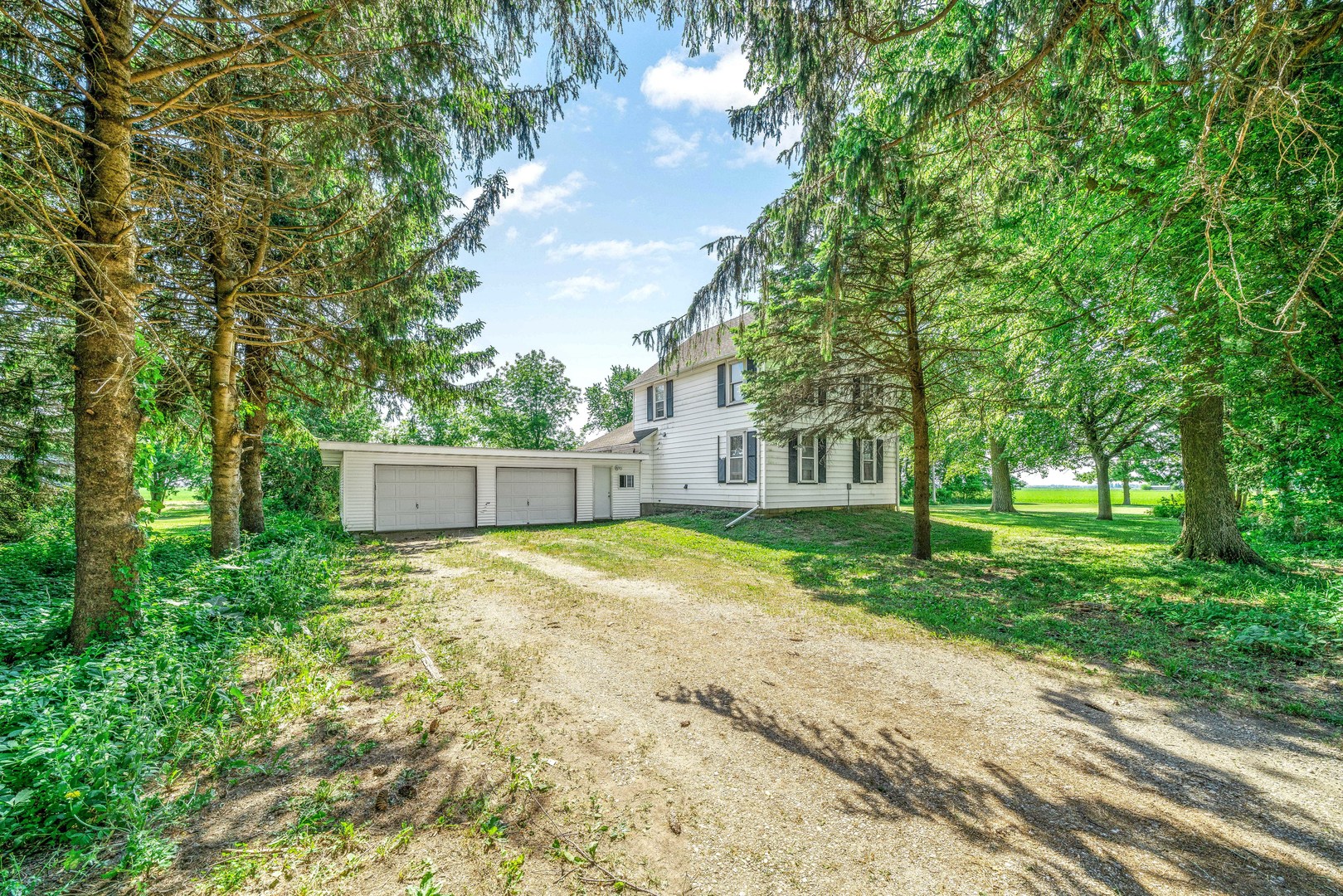 3700 Kane Road Leland, IL 60531 - Photo 27 of 30 a view of a yard with plants and trees