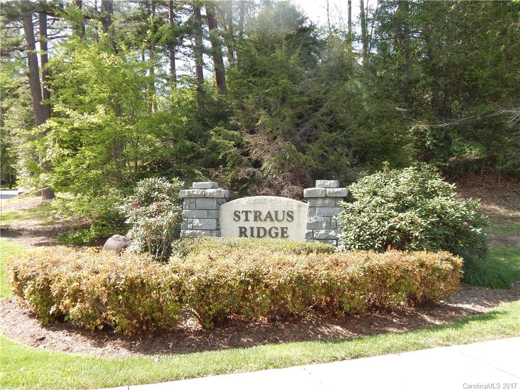 73 Ridgetop Circle, Unit 201 Brevard, NC 28712 - Photo 12 of 12 Gallery Image 12