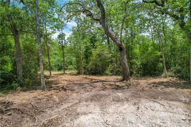 a wooden bench with view of trees