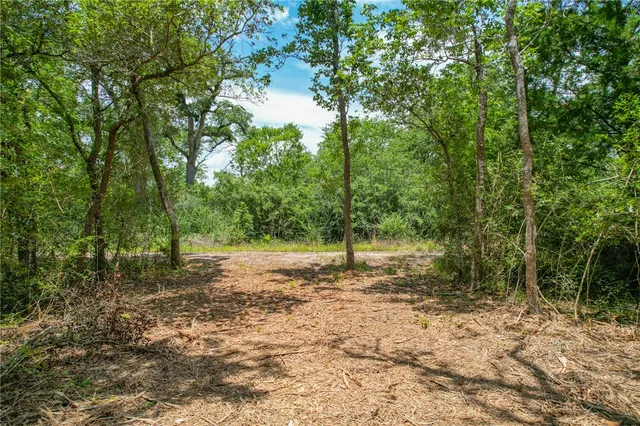 a view of a dirt road with trees in the background