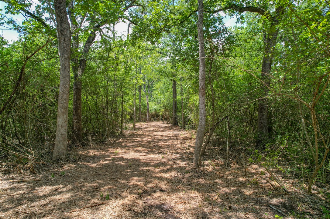 5 Jones Road College Station, TX 77845 - Photo 15 of 40 a view of outdoor space and trees