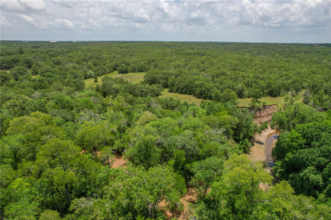 5 Jones Road College Station, TX 77845 - Photo 18 of 40 a view of a big yard with lots of green space and house in the back