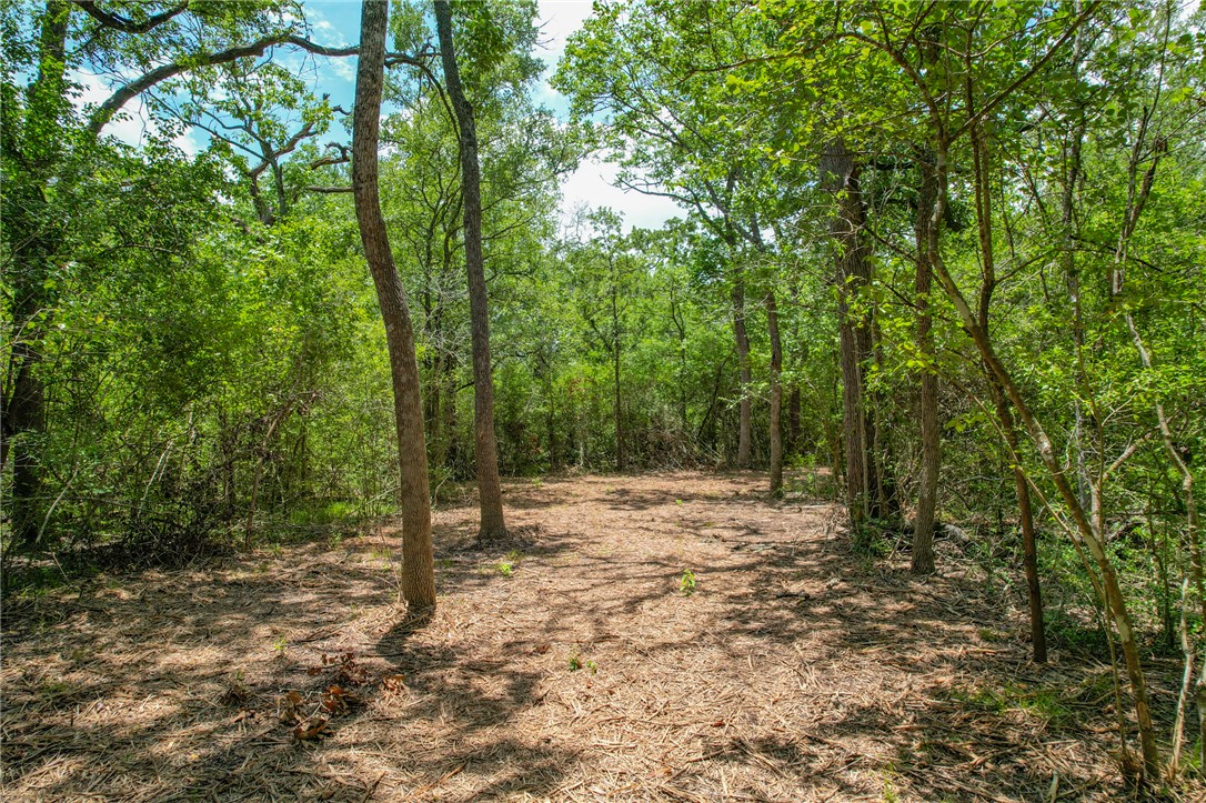 5 Jones Road College Station, TX 77845 - Photo 19 of 40 a view of outdoor space with trees