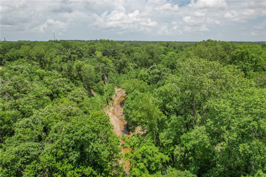 5 Jones Road College Station, TX 77845 - Photo 20 of 40 a view of a bunch of trees and bushes