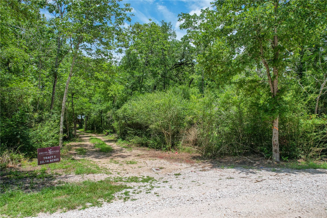 5 Jones Road College Station, TX 77845 - Photo 2 of 40 a view of a park